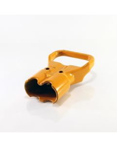 P06161